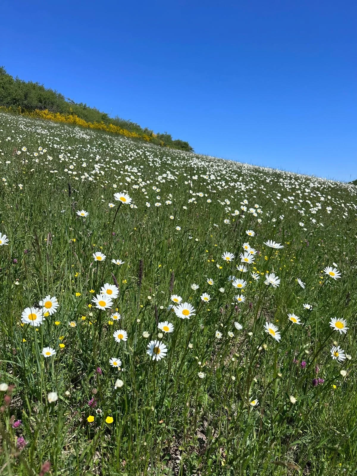 Menschen wandern in den Bergen von Wanderherz gemeinsam wandern