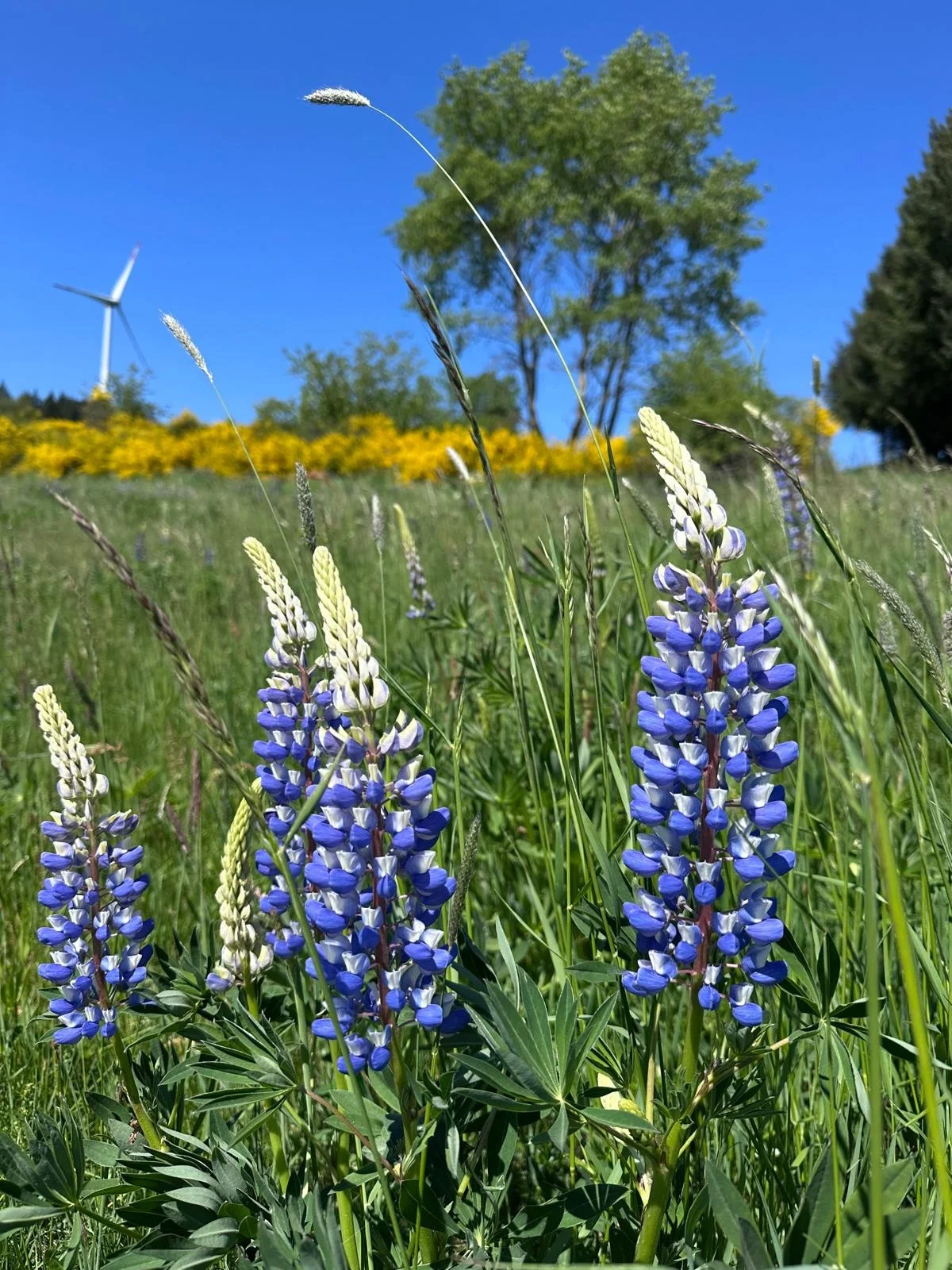 Menschen wandern in den Bergen von Wanderherz gemeinsam wandern