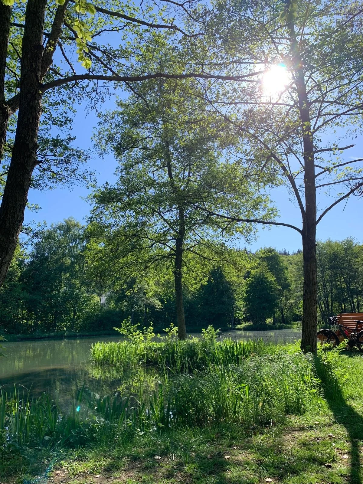 Menschen wandern in den Bergen von Wanderherz gemeinsam wandern