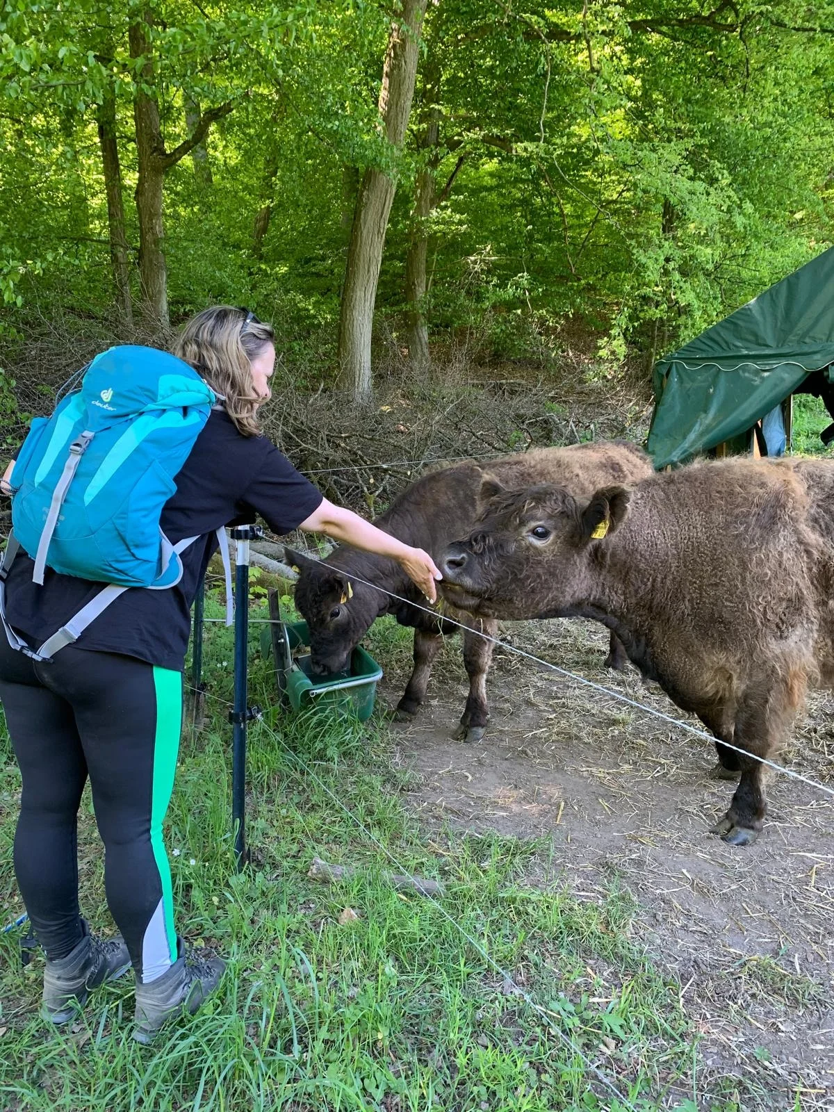 Menschen wandern in den Bergen von Wanderherz gemeinsam wandern