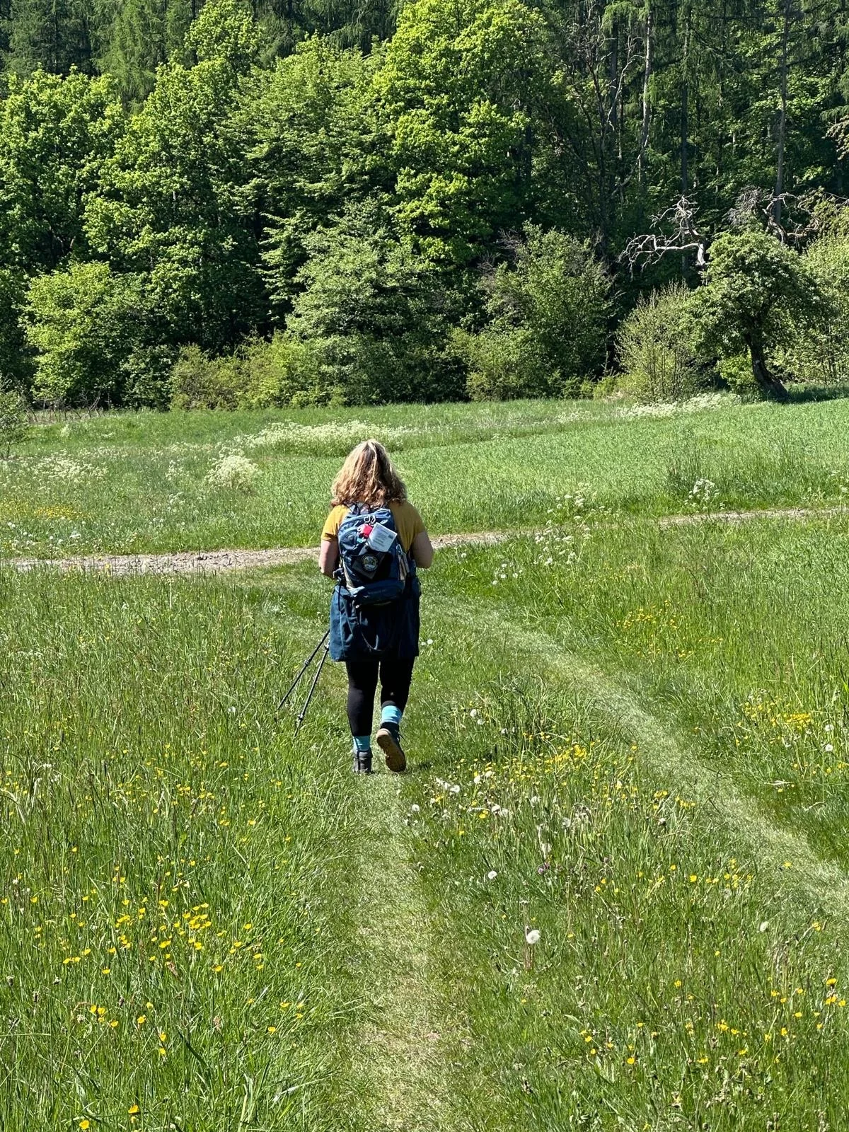 Odenwald von Wanderherz gemeinsam wandern