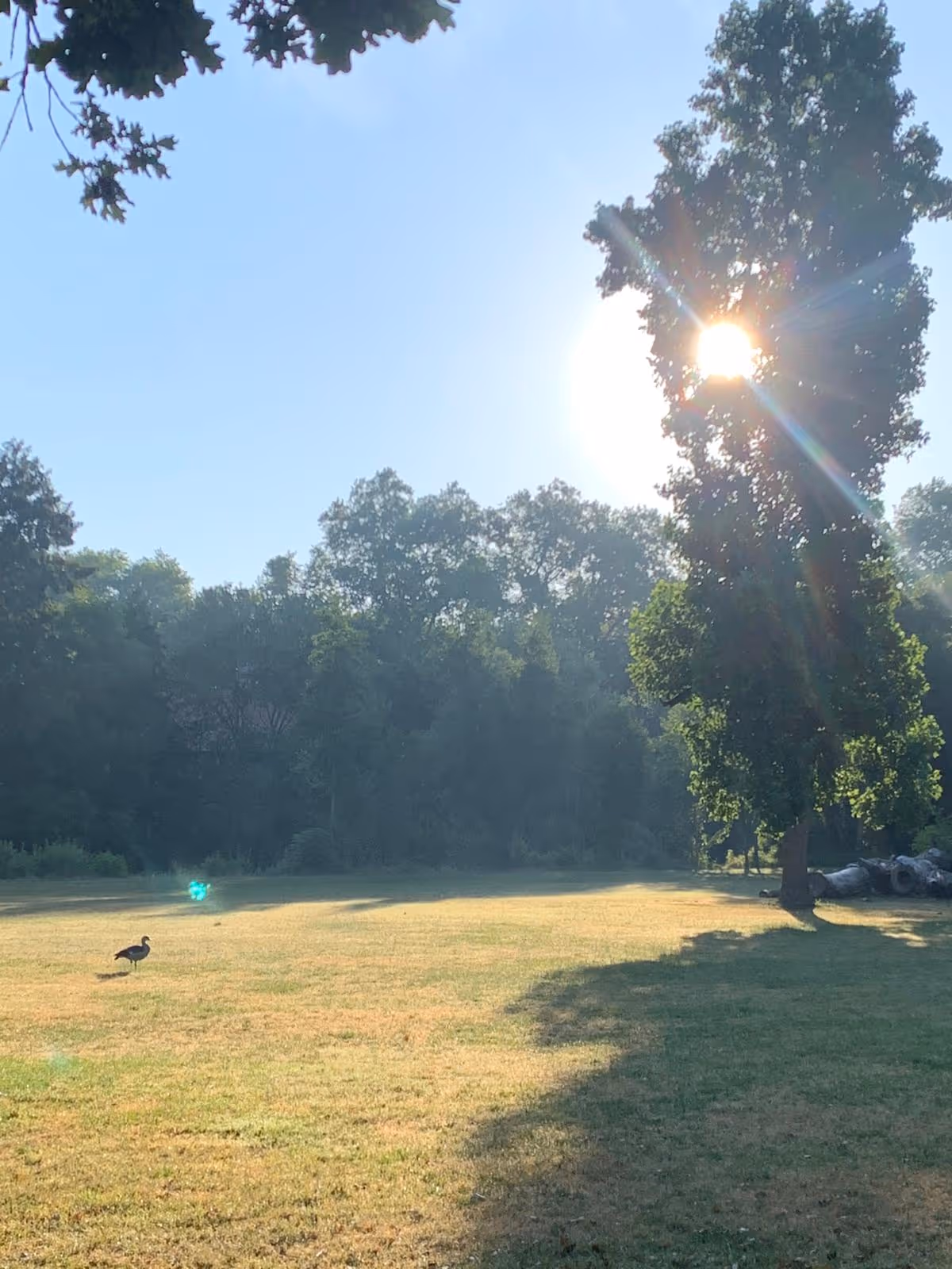 Menschen wandern in den Bergen von Wanderherz gemeinsam wandern
