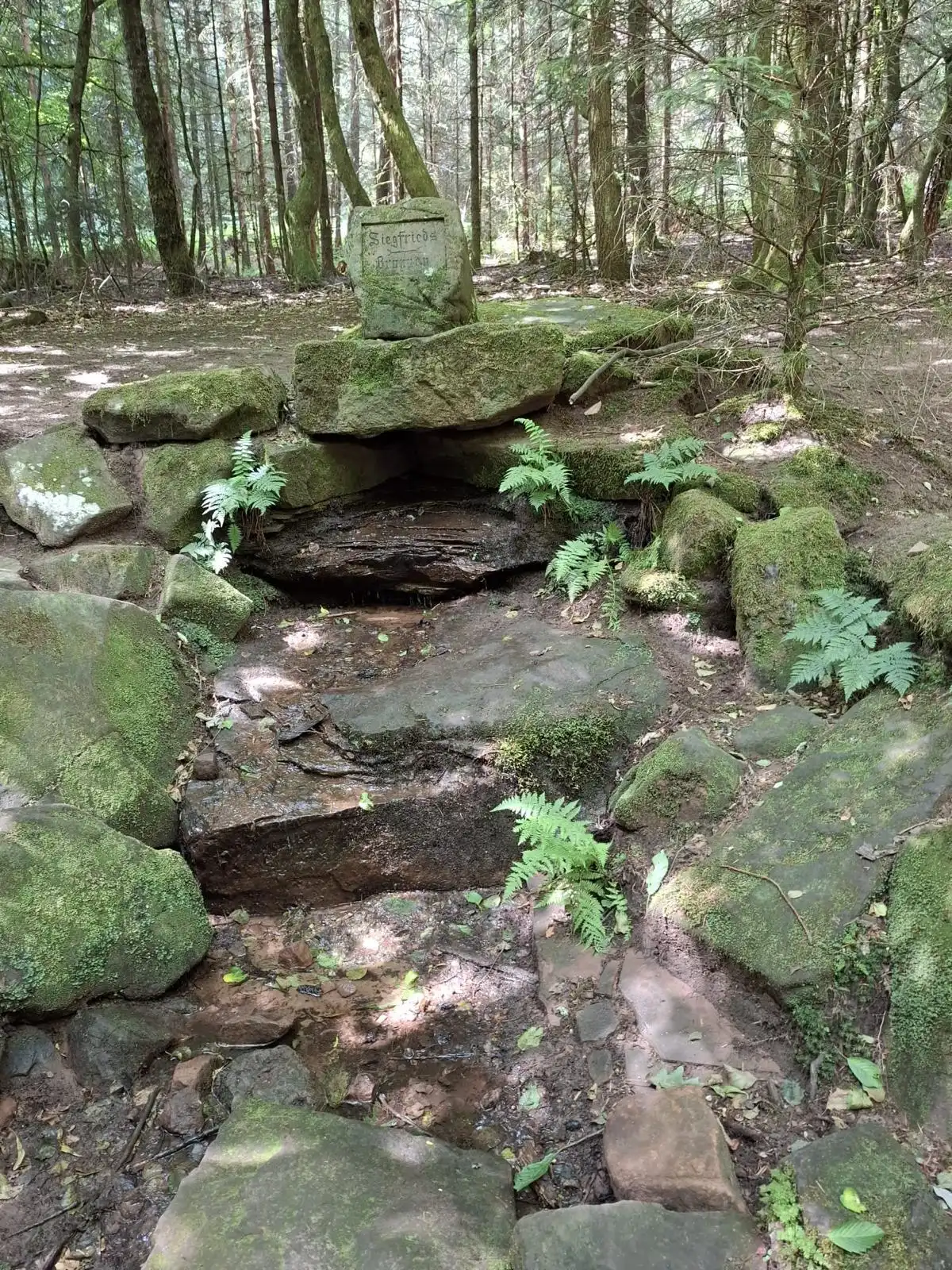 Menschen wandern in den Bergen von Wanderherz gemeinsam wandern