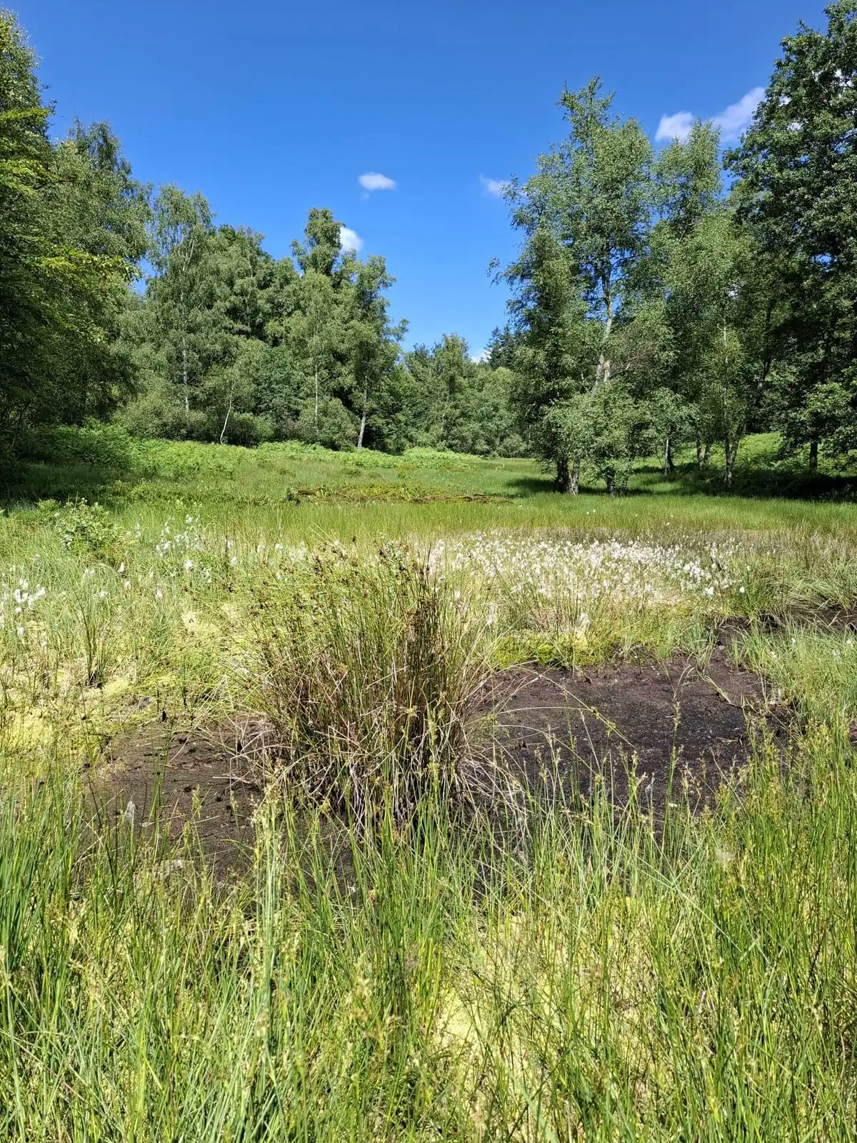 Menschen wandern in den Bergen von Wanderherz gemeinsam wandern