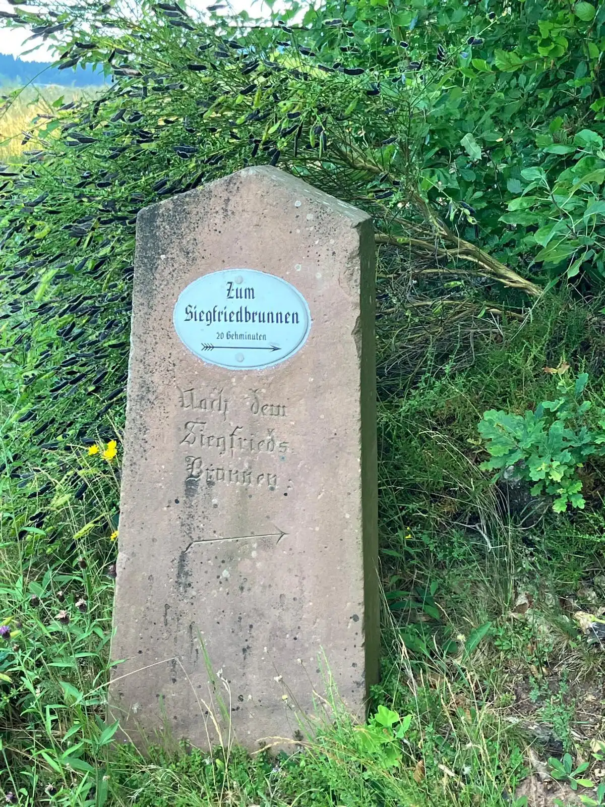 Odenwald von Wanderherz gemeinsam wandern