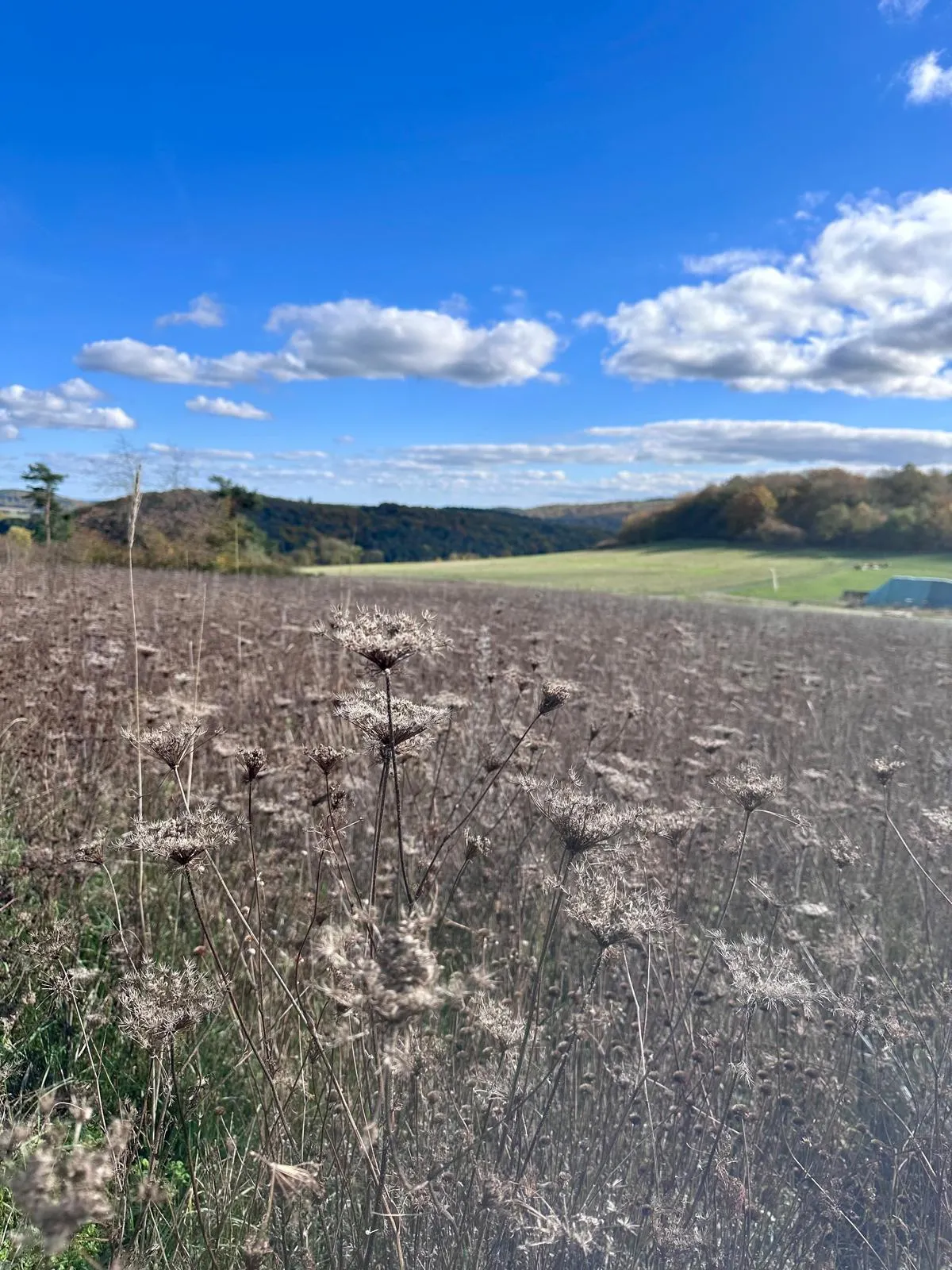 Menschen wandern in den Bergen von Wanderherz gemeinsam wandern