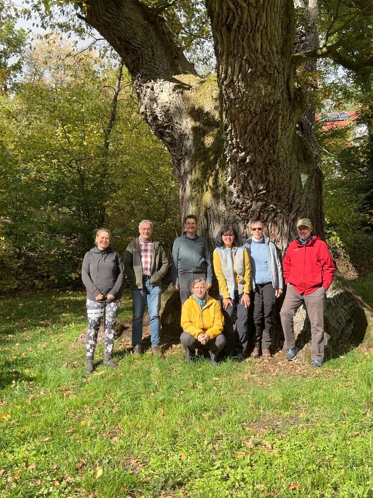 Odenwald von Wanderherz gemeinsam wandern