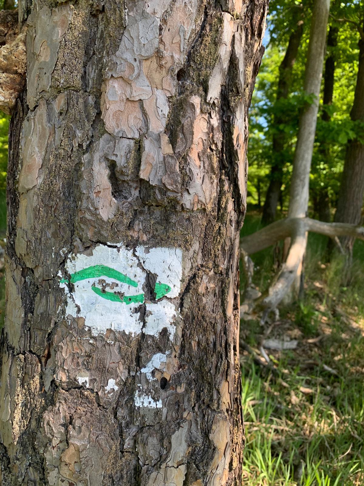 Menschen wandern in den Bergen von Wanderherz gemeinsam wandern