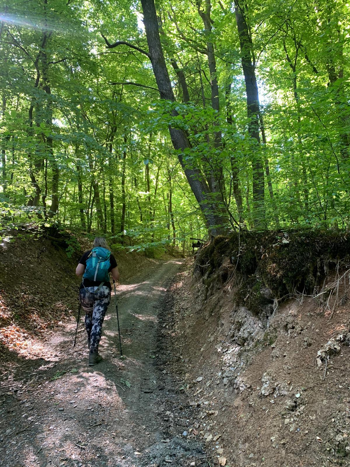 Odenwald von Wanderherz gemeinsam wandern