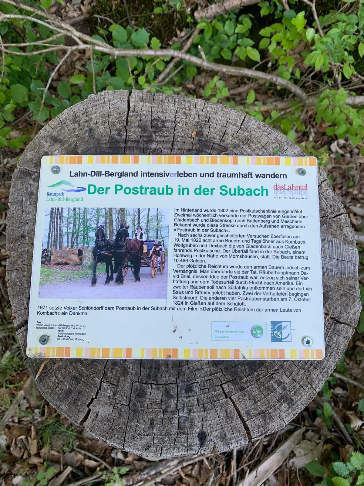 Odenwald von Wanderherz gemeinsam wandern