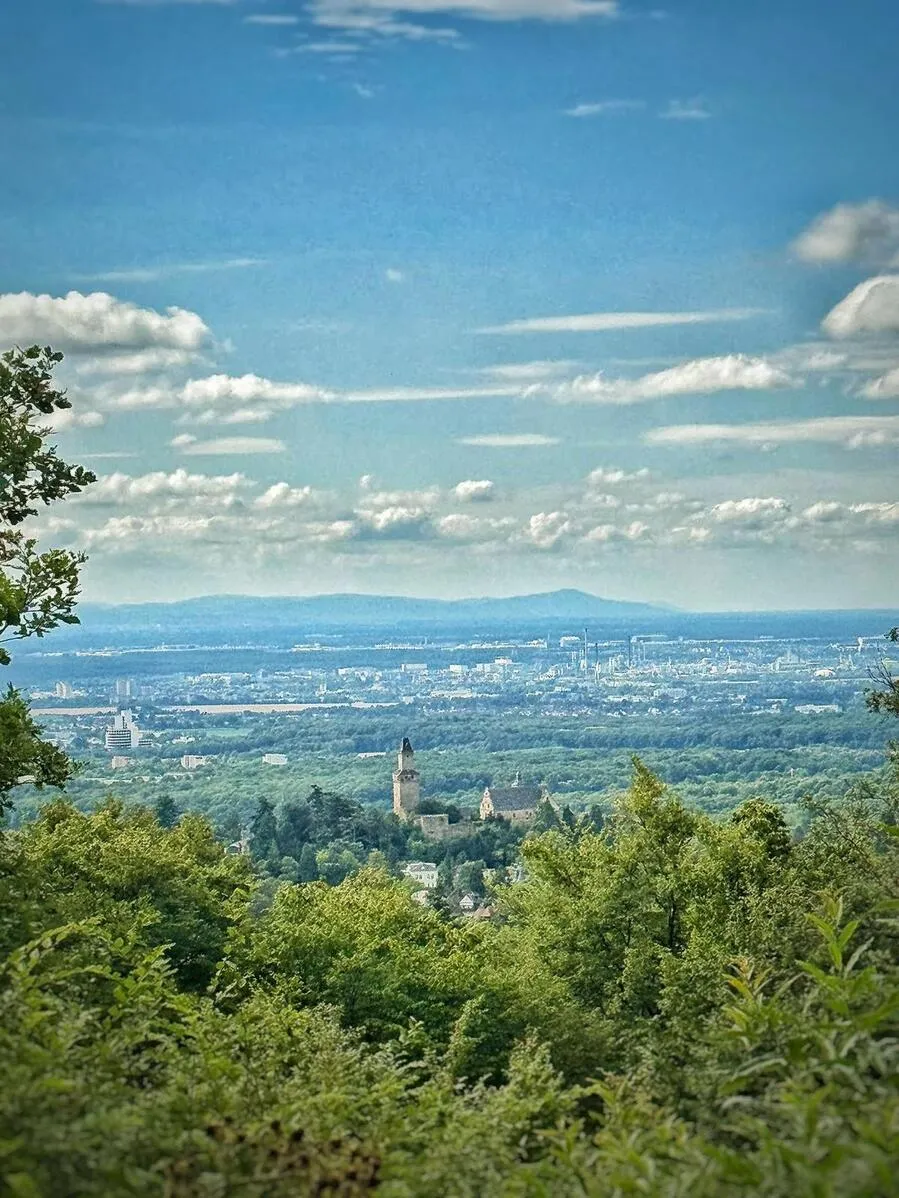 Odenwald von Wanderherz gemeinsam wandern