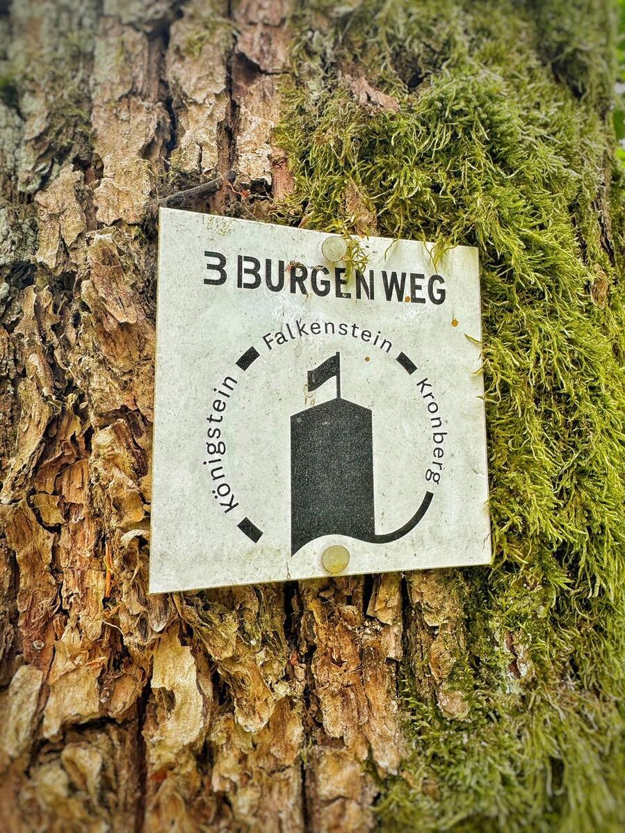 Odenwald von Wanderherz gemeinsam wandern