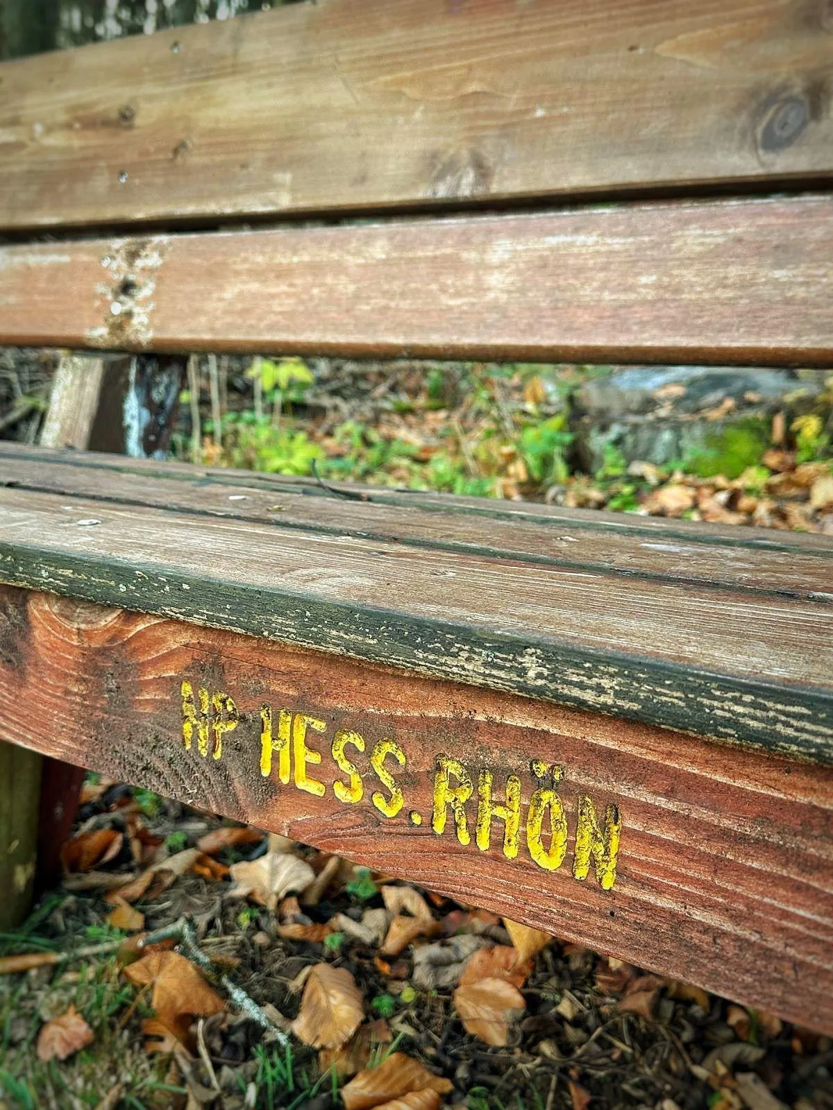 Menschen wandern in den Bergen von Wanderherz gemeinsam wandern