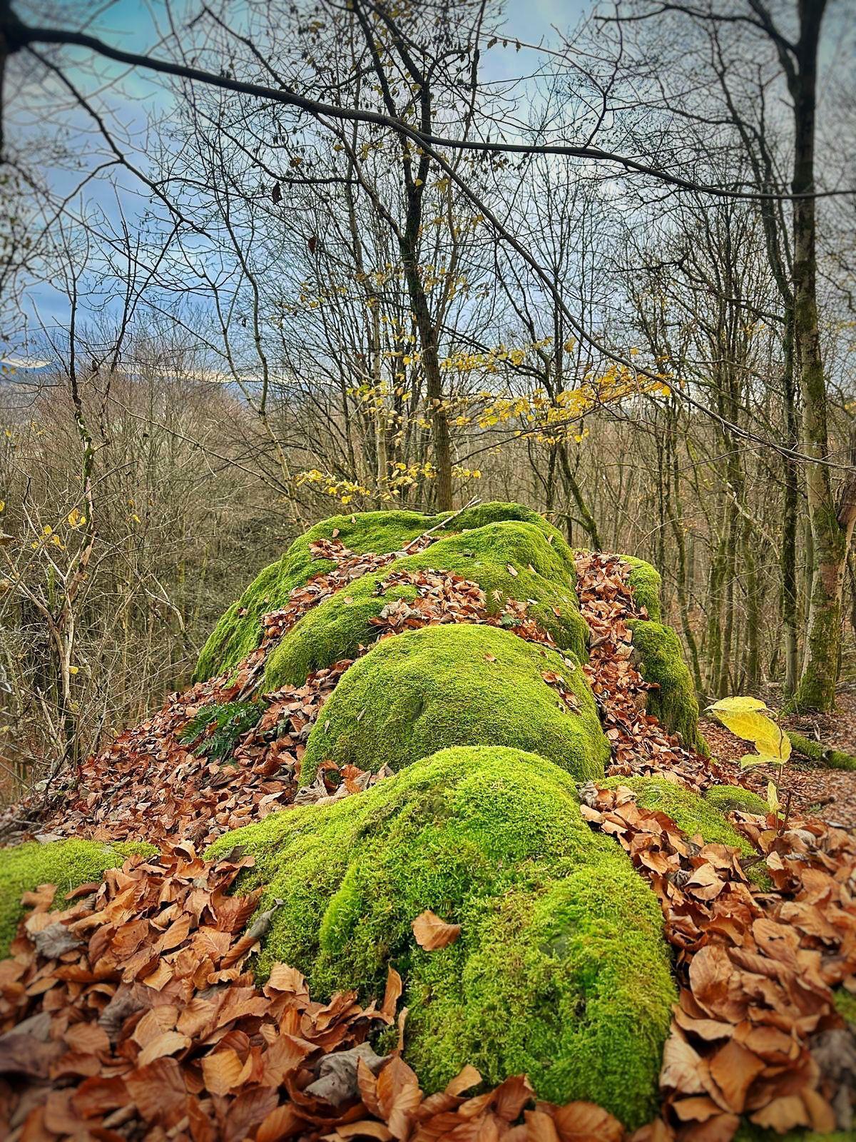 Menschen wandern in den Bergen von Wanderherz gemeinsam wandern