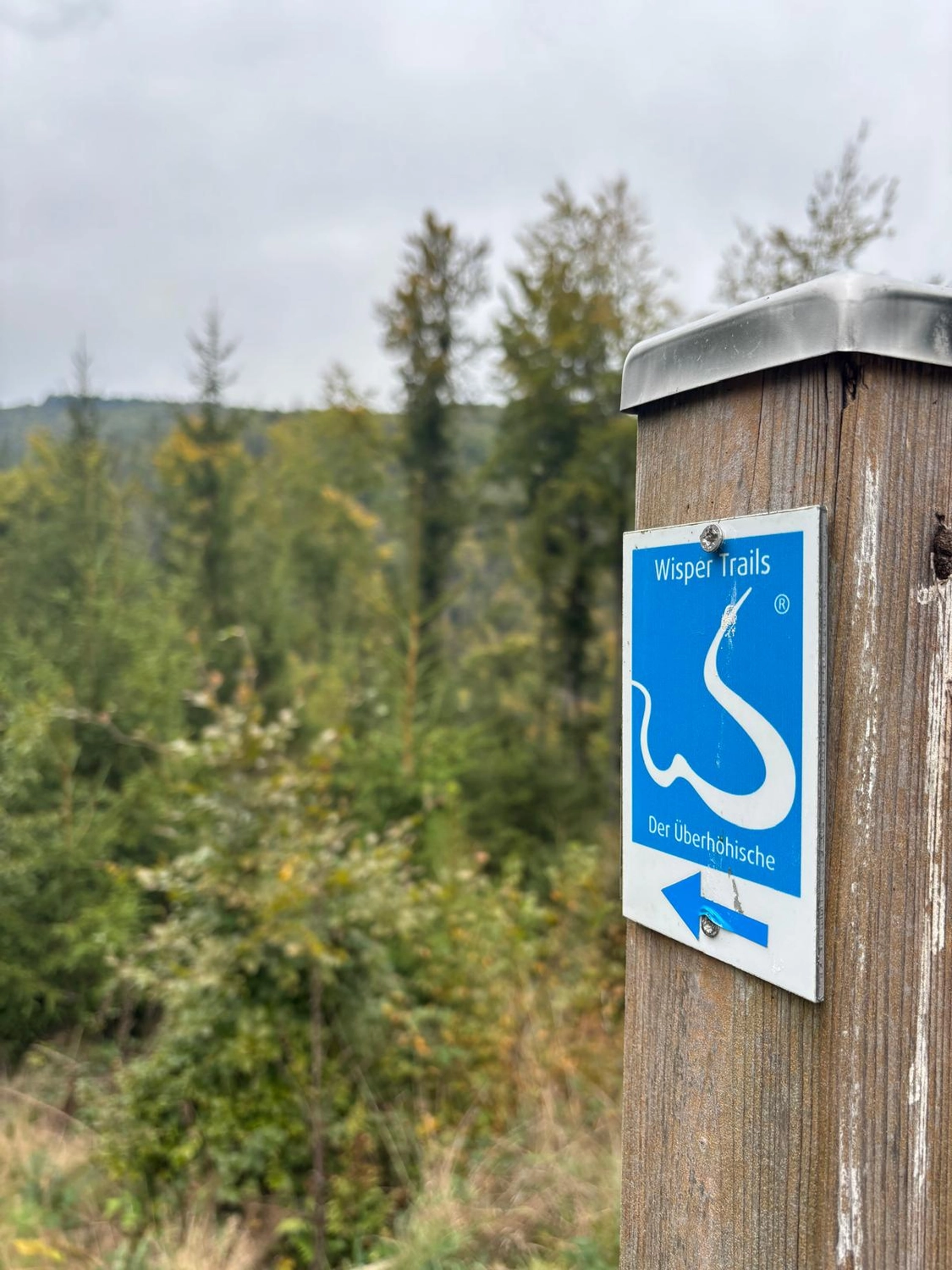 Menschen wandern in den Bergen von Wanderherz gemeinsam wandern