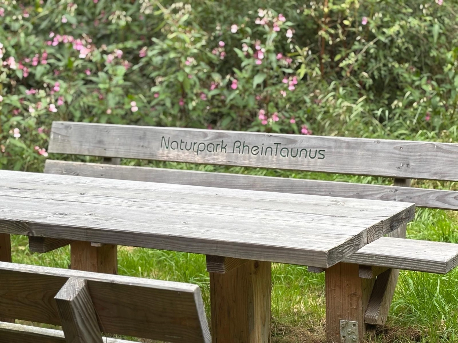 Menschen wandern in den Bergen von Wanderherz gemeinsam wandern