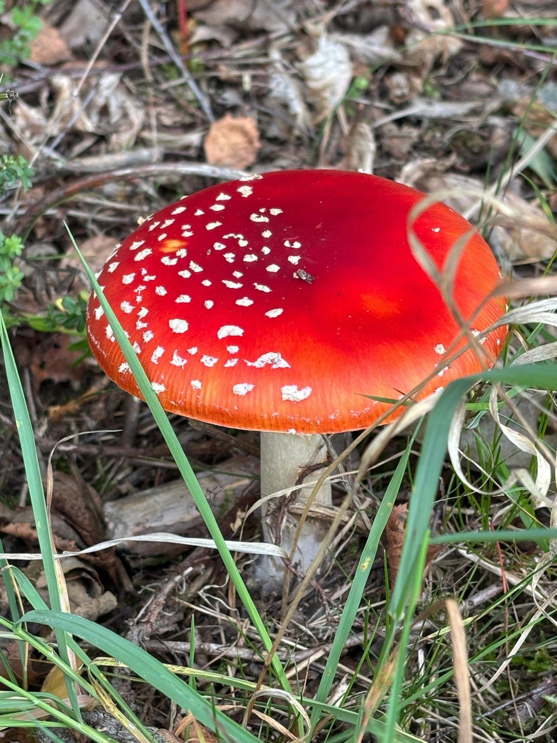 Menschen wandern in den Bergen von Wanderherz gemeinsam wandern