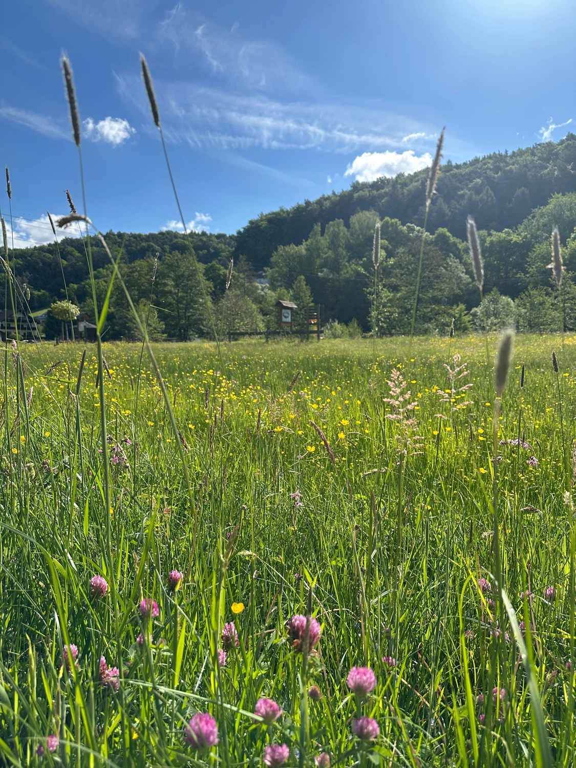 Menschen wandern in den Bergen von Wanderherz gemeinsam wandern