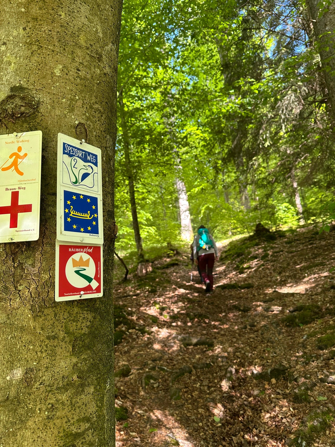 Menschen wandern in den Bergen von Wanderherz gemeinsam wandern